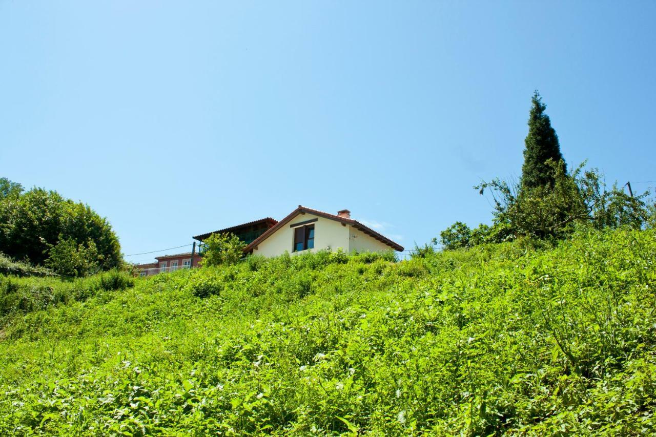 La Panera Del Carbain Villa Soto Del Barco Exterior photo